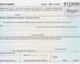 Przedawnienie mandatu karnego: 3 lata? Jak liczyć i co przerywa?