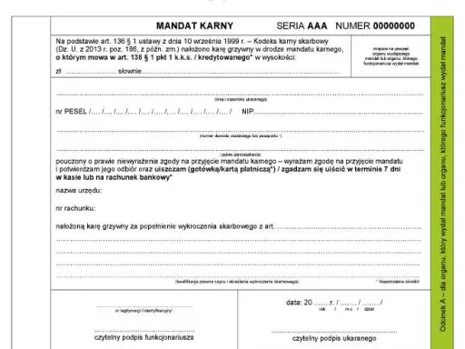 Jak sprawdzić mandat karny? Uniknij egzekucji! Poradnik